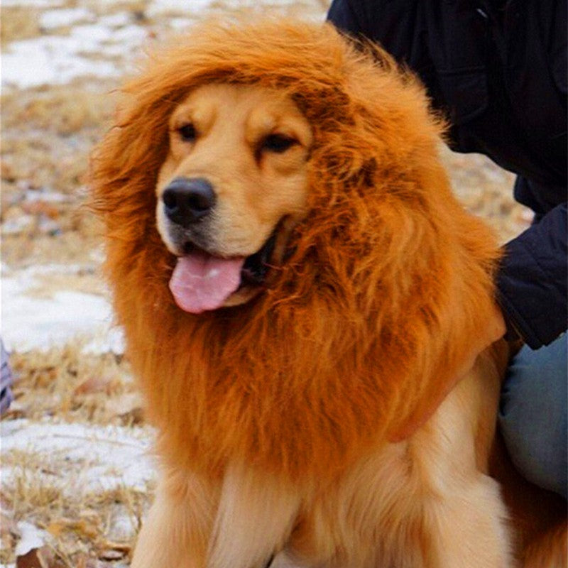 Lion Wig For Your Dogs | 宠物假发 - 狗用狮子头套装
