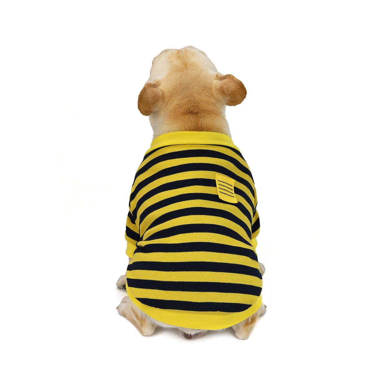 條紋鬥牛犬毛衣 - 秋冬外套 | Striped Bullfighting Sweater for Dogs - Fall/Winter Coat