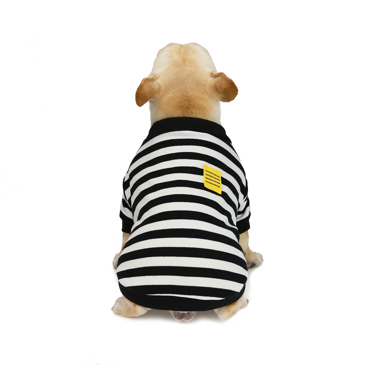 條紋鬥牛犬毛衣 - 秋冬外套 | Striped Bullfighting Sweater for Dogs - Fall/Winter Coat