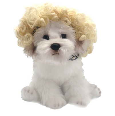 最搞笑的動物假髮 | Funniest Wig For Your Animal