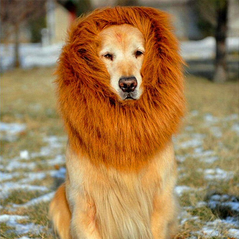 Lion Wig For Your Dogs | 宠物假发 - 狗用狮子头套装