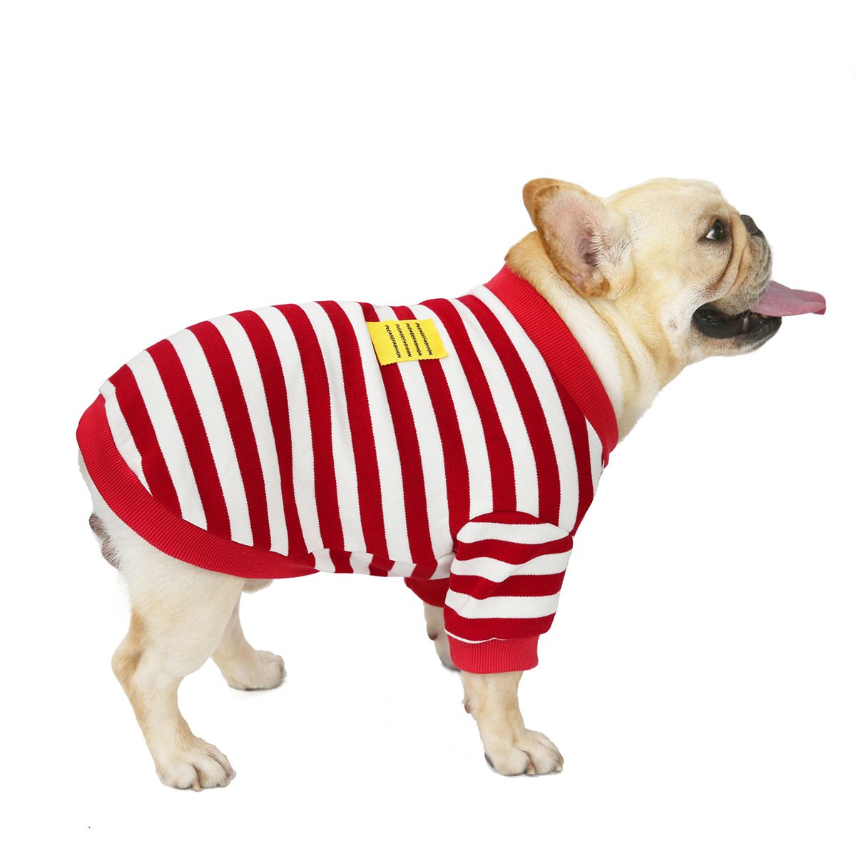 條紋鬥牛犬毛衣 - 秋冬外套 | Striped Bullfighting Sweater for Dogs - Fall/Winter Coat